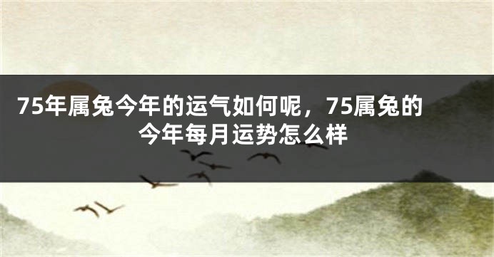 75年属兔今年的运气如何呢，75属兔的今年每月运势怎么样