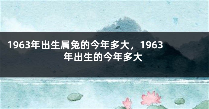 1963年出生属兔的今年多大，1963年出生的今年多大