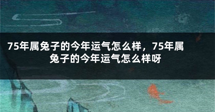 75年属兔子的今年运气怎么样，75年属兔子的今年运气怎么样呀