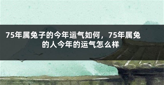 75年属兔子的今年运气如何，75年属兔的人今年的运气怎么样