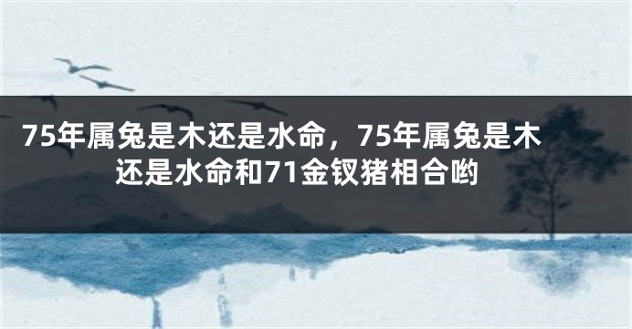 75年属兔是木还是水命，75年属兔是木还是水命和71金钗猪相合哟