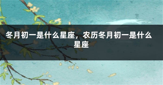 冬月初一是什么星座，农历冬月初一是什么星座