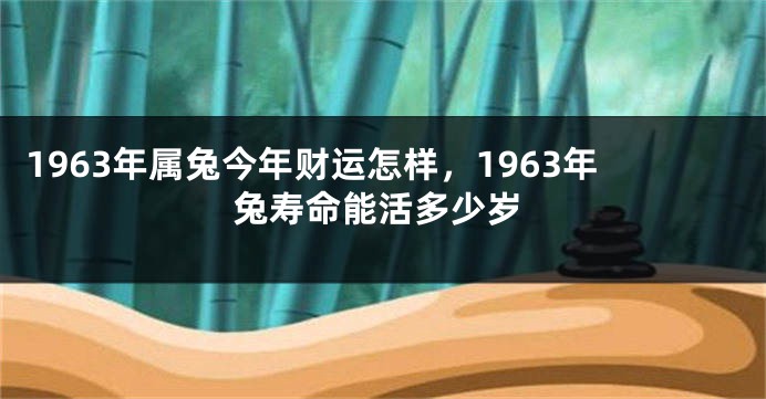1963年属兔今年财运怎样，1963年兔寿命能活多少岁