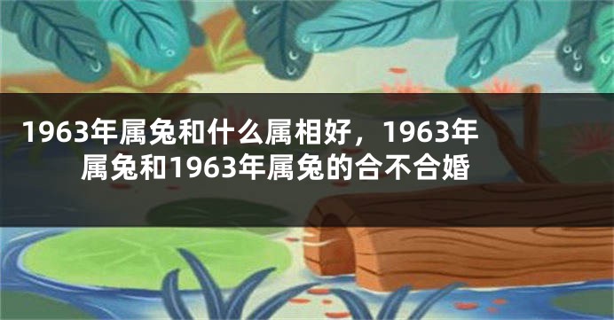 1963年属兔和什么属相好，1963年属兔和1963年属兔的合不合婚