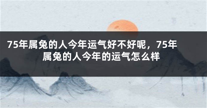 75年属兔的人今年运气好不好呢，75年属兔的人今年的运气怎么样