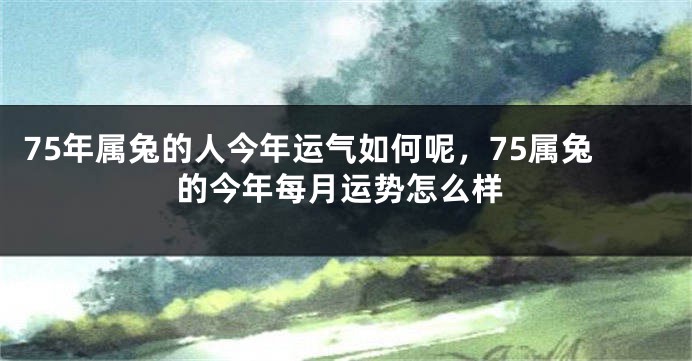 75年属兔的人今年运气如何呢，75属兔的今年每月运势怎么样
