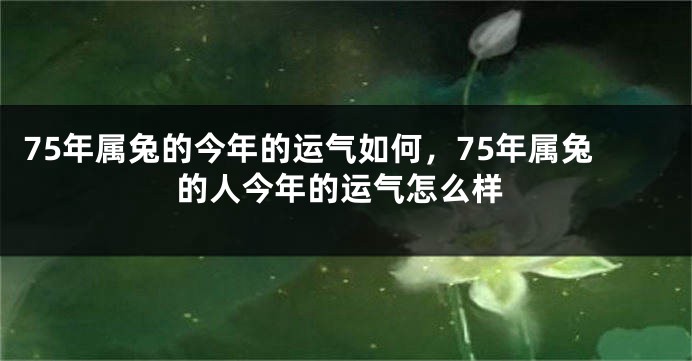 75年属兔的今年的运气如何，75年属兔的人今年的运气怎么样