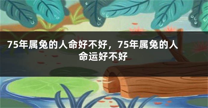 75年属兔的人命好不好，75年属兔的人命运好不好