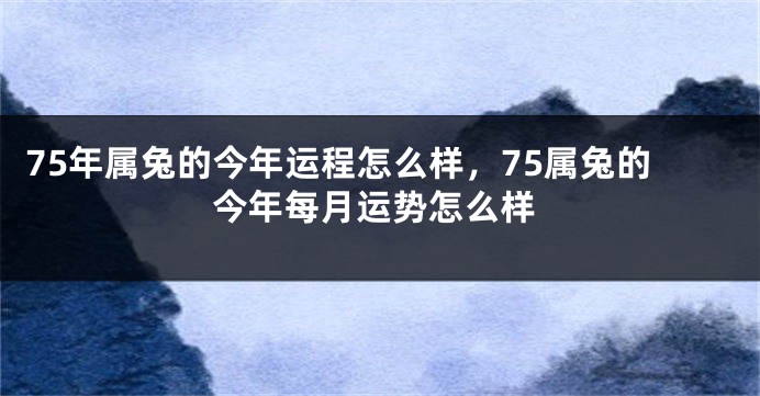 75年属兔的今年运程怎么样,75属兔的今年每月运势怎么样