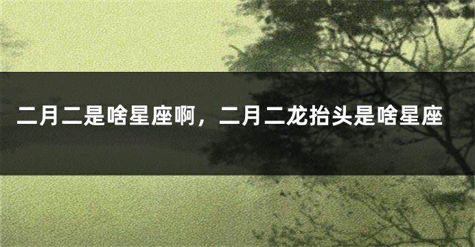 二月二是啥星座啊，二月二龙抬头是啥星座
