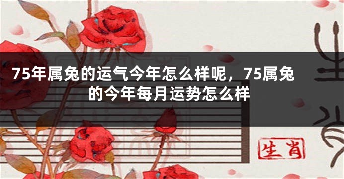 75年属兔的运气今年怎么样呢，75属兔的今年每月运势怎么样