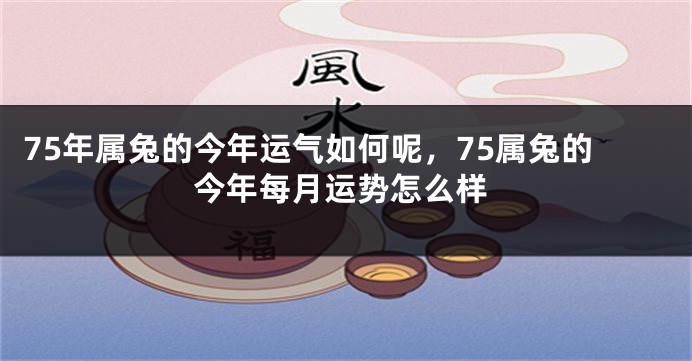 75年属兔的今年运气如何呢，75属兔的今年每月运势怎么样
