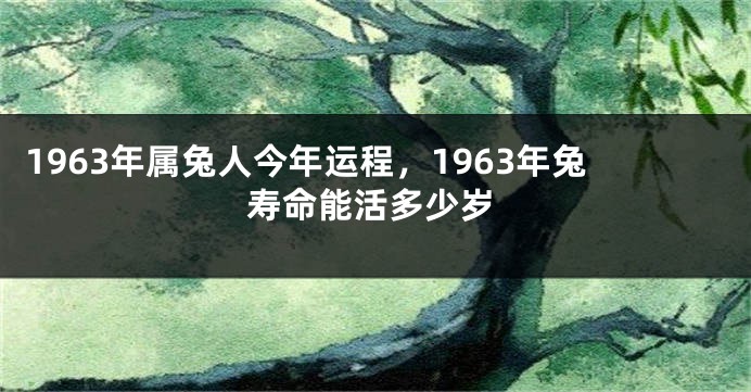 1963年属兔人今年运程，1963年兔寿命能活多少岁