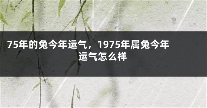 75年的兔今年运气，1975年属兔今年运气怎么样