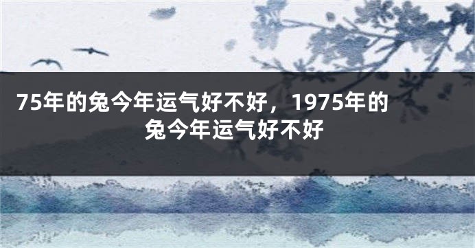 75年的兔今年运气好不好，1975年的兔今年运气好不好