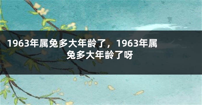 1963年属兔多大年龄了，1963年属兔多大年龄了呀