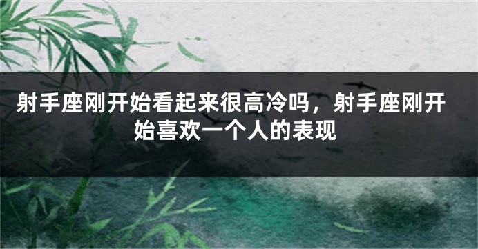 射手座刚开始看起来很高冷吗，射手座刚开始喜欢一个人的表现