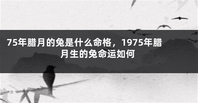 75年腊月的兔是什么命格，1975年腊月生的兔命运如何
