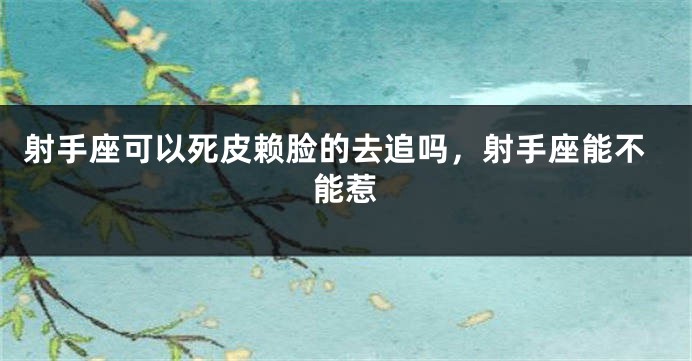 射手座可以死皮赖脸的去追吗，射手座能不能惹