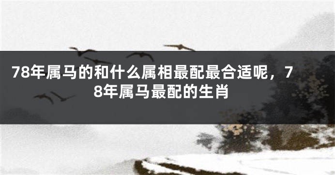 78年属马的和什么属相最配最合适呢，78年属马最配的生肖