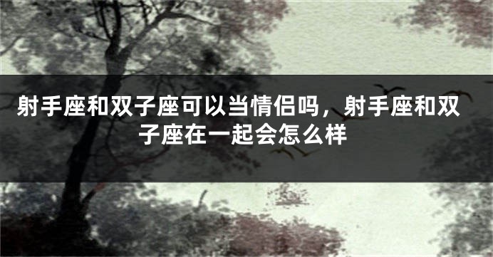 射手座和双子座可以当情侣吗，射手座和双子座在一起会怎么样