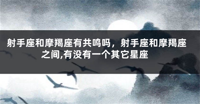 射手座和摩羯座有共鸣吗，射手座和摩羯座之间,有没有一个其它星座