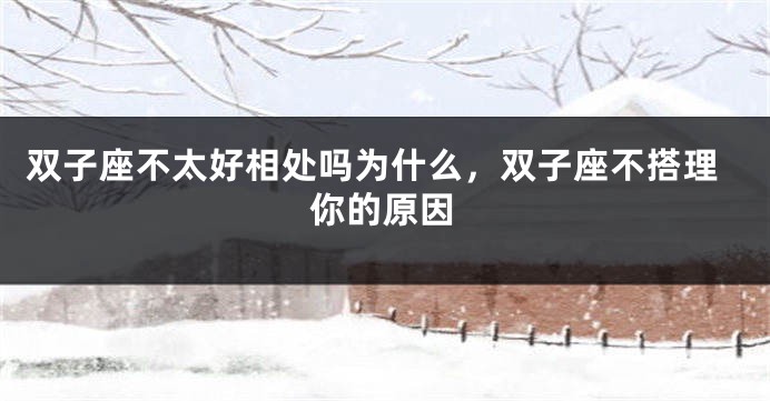 双子座不太好相处吗为什么，双子座不搭理你的原因