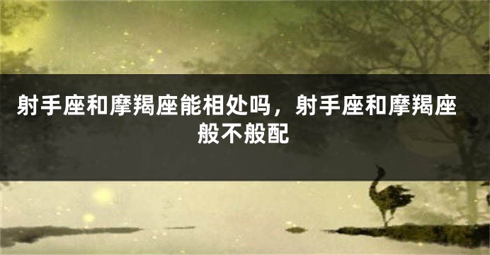 射手座和摩羯座能相处吗，射手座和摩羯座般不般配
