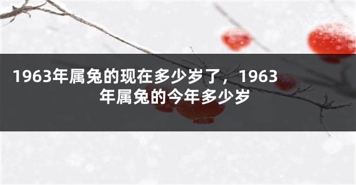 1963年属兔的现在多少岁了，1963年属兔的今年多少岁
