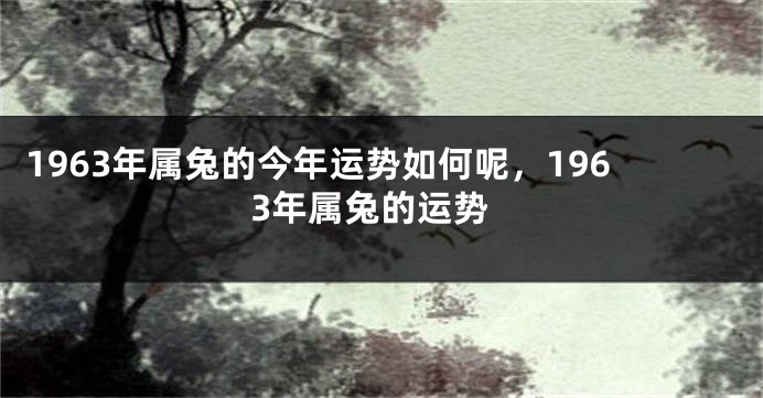 1963年属兔的今年运势如何呢，1963年属兔的运势