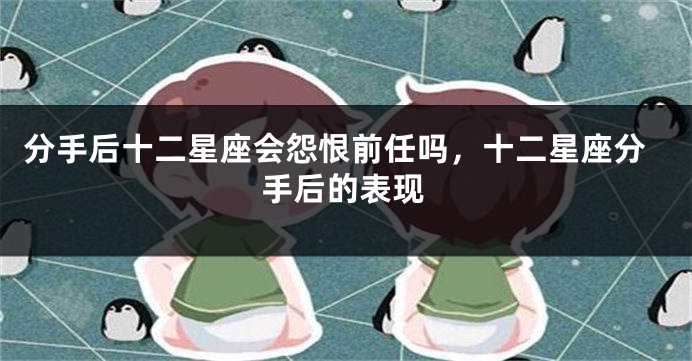 分手后十二星座会怨恨前任吗,十二星座分手后的表现