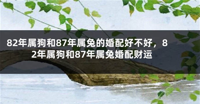 82年属狗和87年属兔的婚配好不好，82年属狗和87年属兔婚配财运