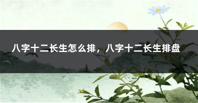 八字十二长生怎么排，八字十二长生排盘