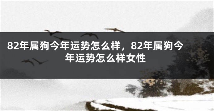 82年属狗今年运势怎么样，82年属狗今年运势怎么样女性