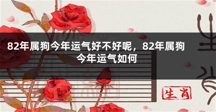 82年属狗今年运气好不好呢,82年属狗今年运气如何