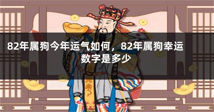 82年属狗今年运气如何,82年属狗幸运数字是多少