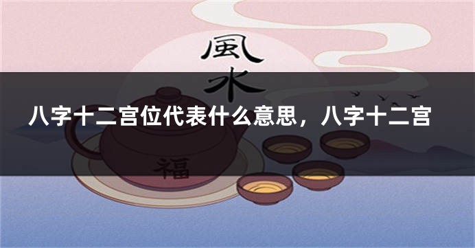 八字十二宫位代表什么意思，八字十二宫