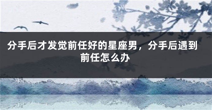 分手后才发觉前任好的星座男，分手后遇到前任怎么办