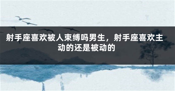 射手座喜欢被人束缚吗男生，射手座喜欢主动的还是被动的