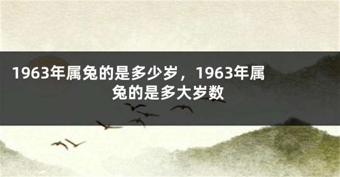 1963年属兔的是多少岁，1963年属兔的是多大岁数