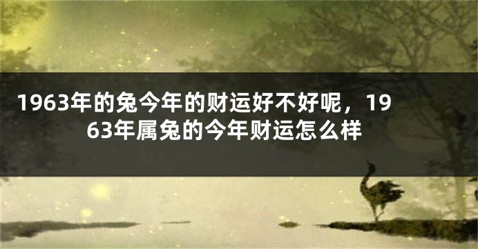1963年的兔今年的财运好不好呢，1963年属兔的今年财运怎么样