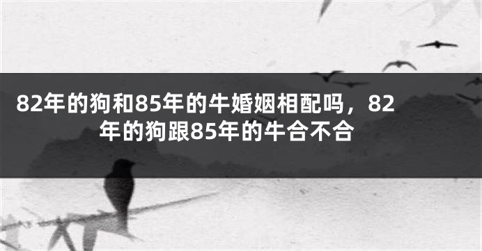 82年的狗和85年的牛婚姻相配吗，82年的狗跟85年的牛合不合