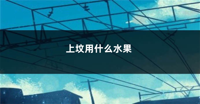 上坟用什么水果
