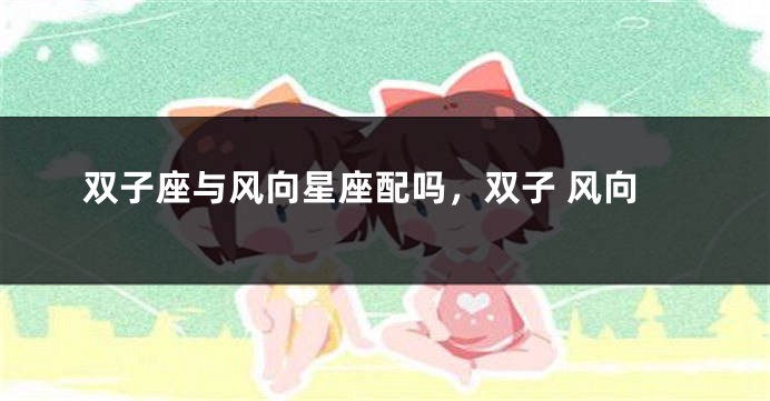双子座与风向星座配吗，双子 风向