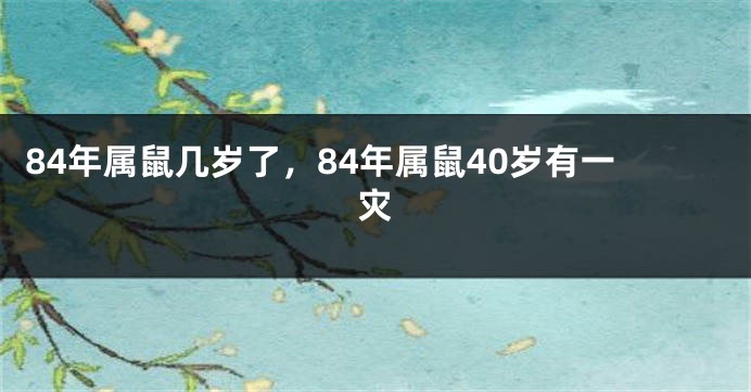 84年属鼠几岁了，84年属鼠40岁有一灾