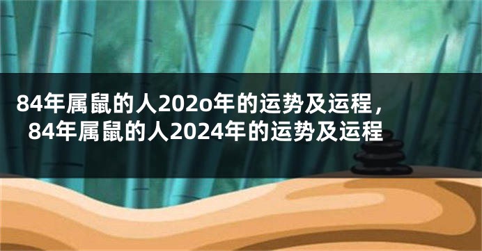 84年属鼠的人202o年的运势及运程，84年属鼠的人2024年的运势及运程