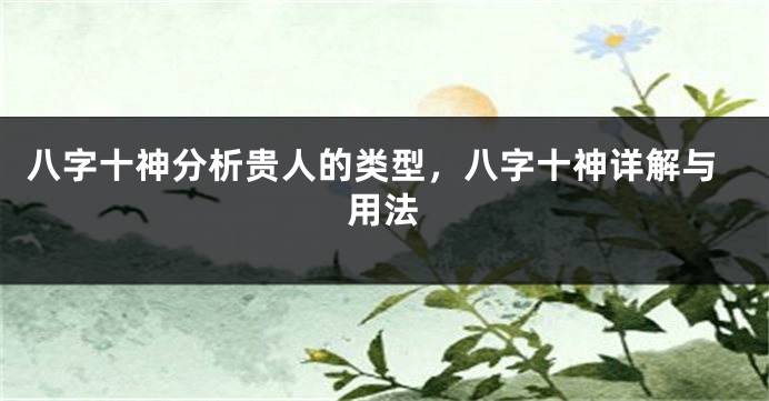 八字十神分析贵人的类型，八字十神详解与用法