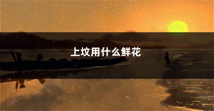上坟用什么鲜花