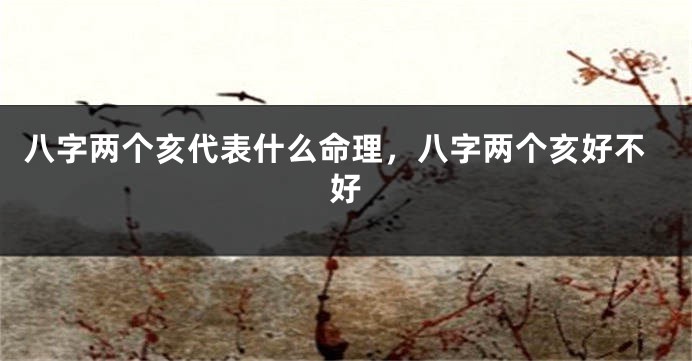 八字两个亥代表什么命理，八字两个亥好不好