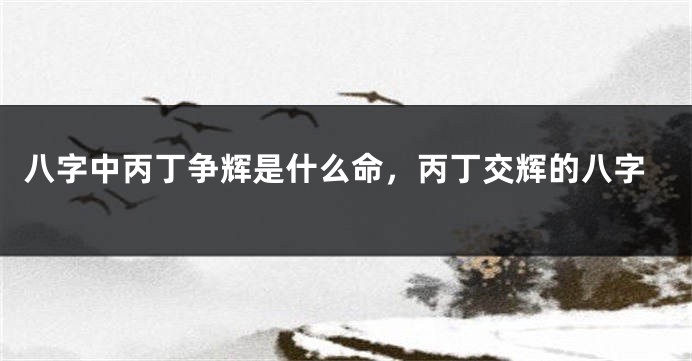 八字中丙丁争辉是什么命，丙丁交辉的八字